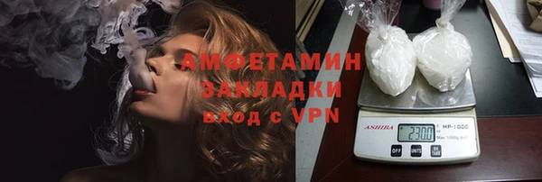 дживик Инта