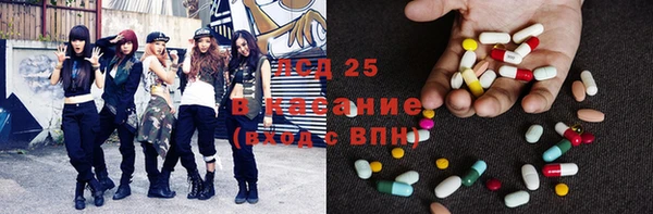эйфоретик Зерноград